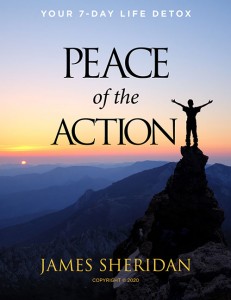 PeaceOfTheAction-Cover